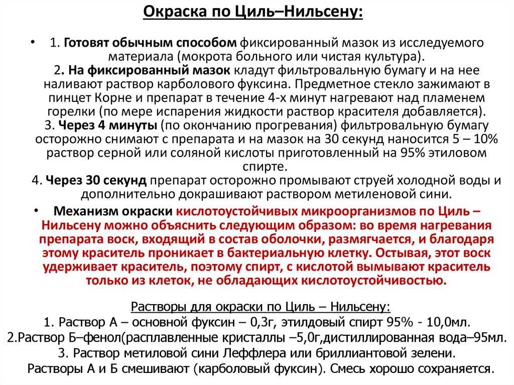 Кислотоустойчивые бактерии по цилю нильсену