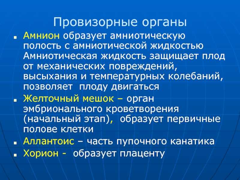 Стадия образования трех зародышевых листков называется. зародышевые листки: их виды и особенности строения. развитие зародышевых листков и основных систем на примере ланцетника