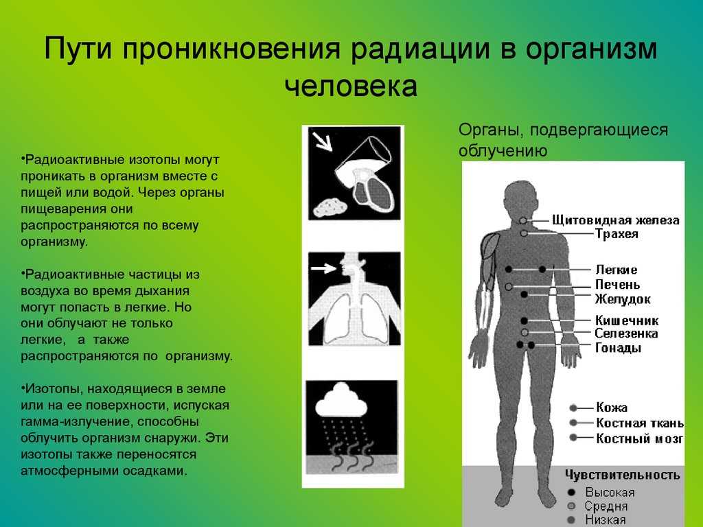 Радиация: что это, суть и воздействие на человека | рбк тренды