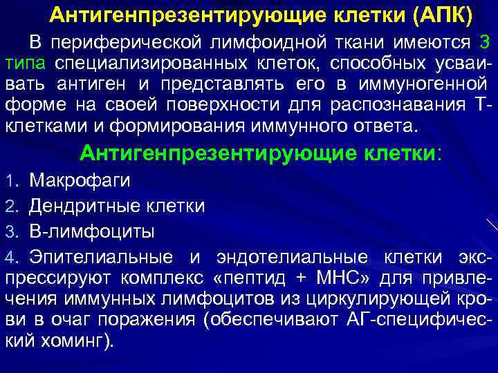 Антигенпрезентирующие клетки (апк) презентация, доклад, проект