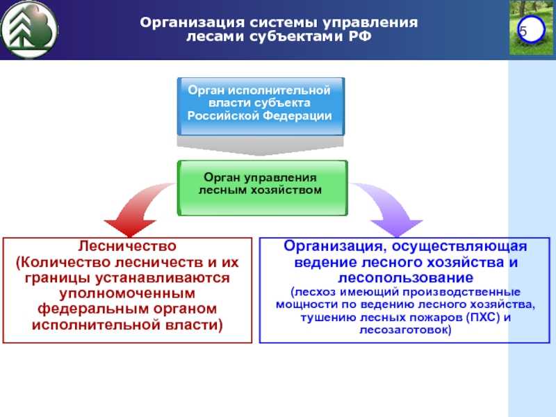 Органы исполнительной власти субъектов российской федерации