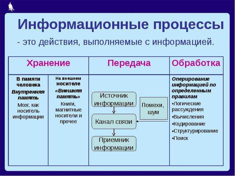 Виды и примеры информационных процессов