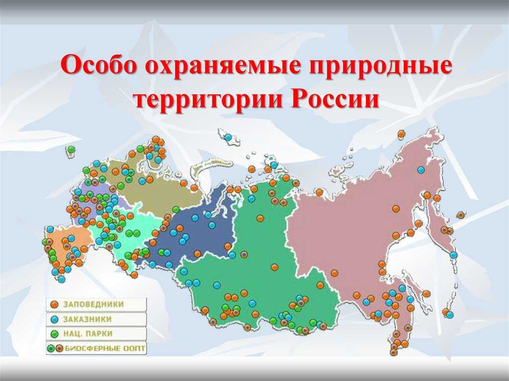 Государственные природные заповедники это кратко