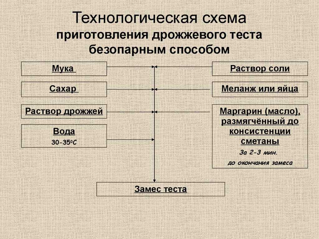 Опарный и безопарный способы тестоведения