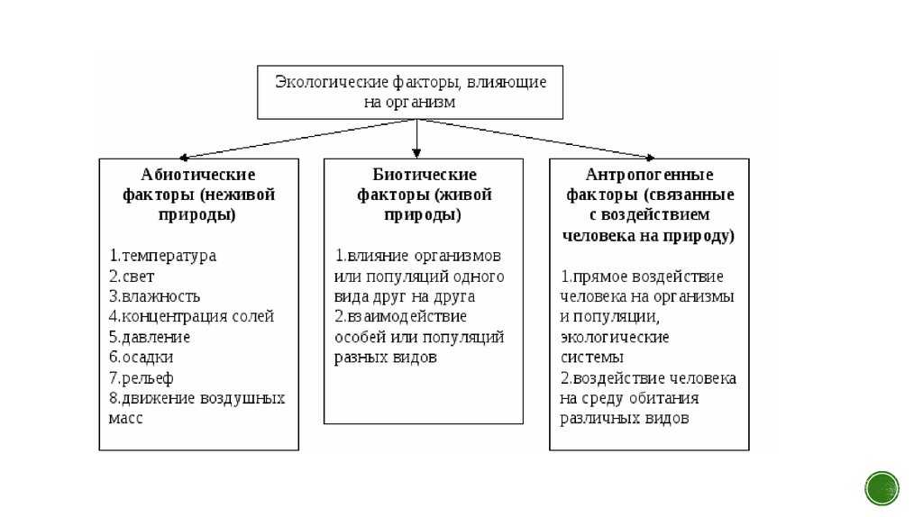 Экологические факторы