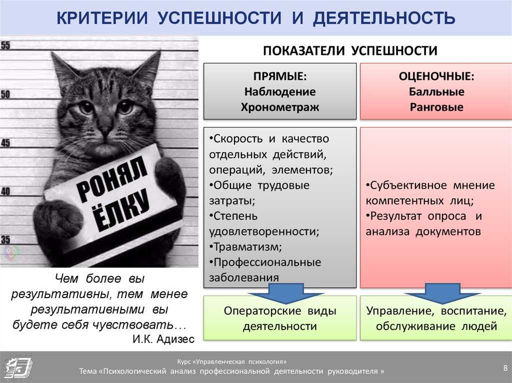 Критерии успеха и критерии неудач проекта - определение термина