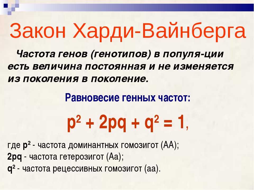 Урок генетика популяций . закон харди-вайнберга. решение задач 10 класс  доклад, проект