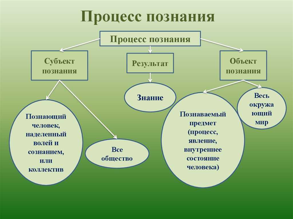 Ступени познания философия кратко