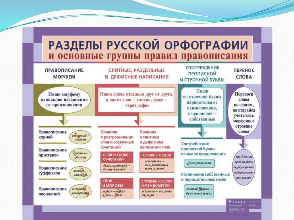 Типы и виды орфограмм таблица