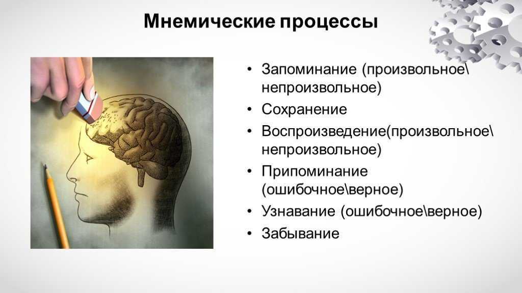 Мнемический процесс - определение термина