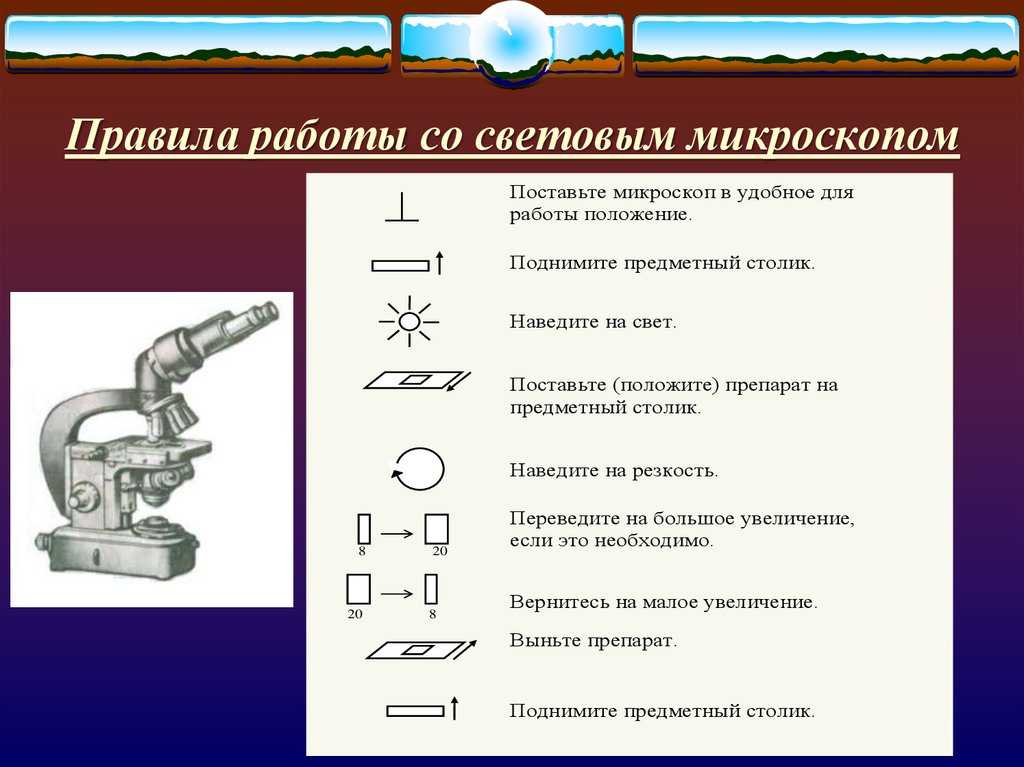 Микроскоп из чего состоит. микроскоп из чего состоит? - uhistory.ru