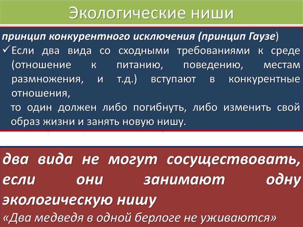 Гаузе принцип