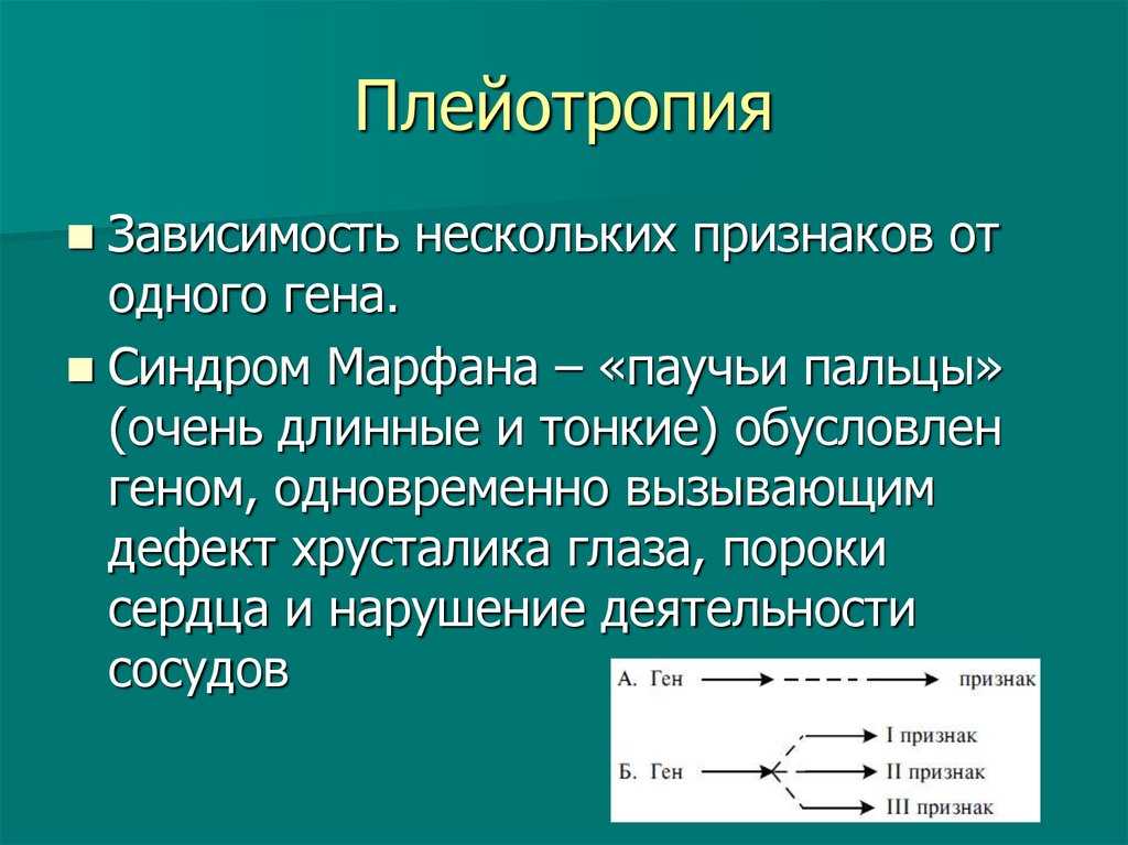 Что такое плейотропия? (с примерами)