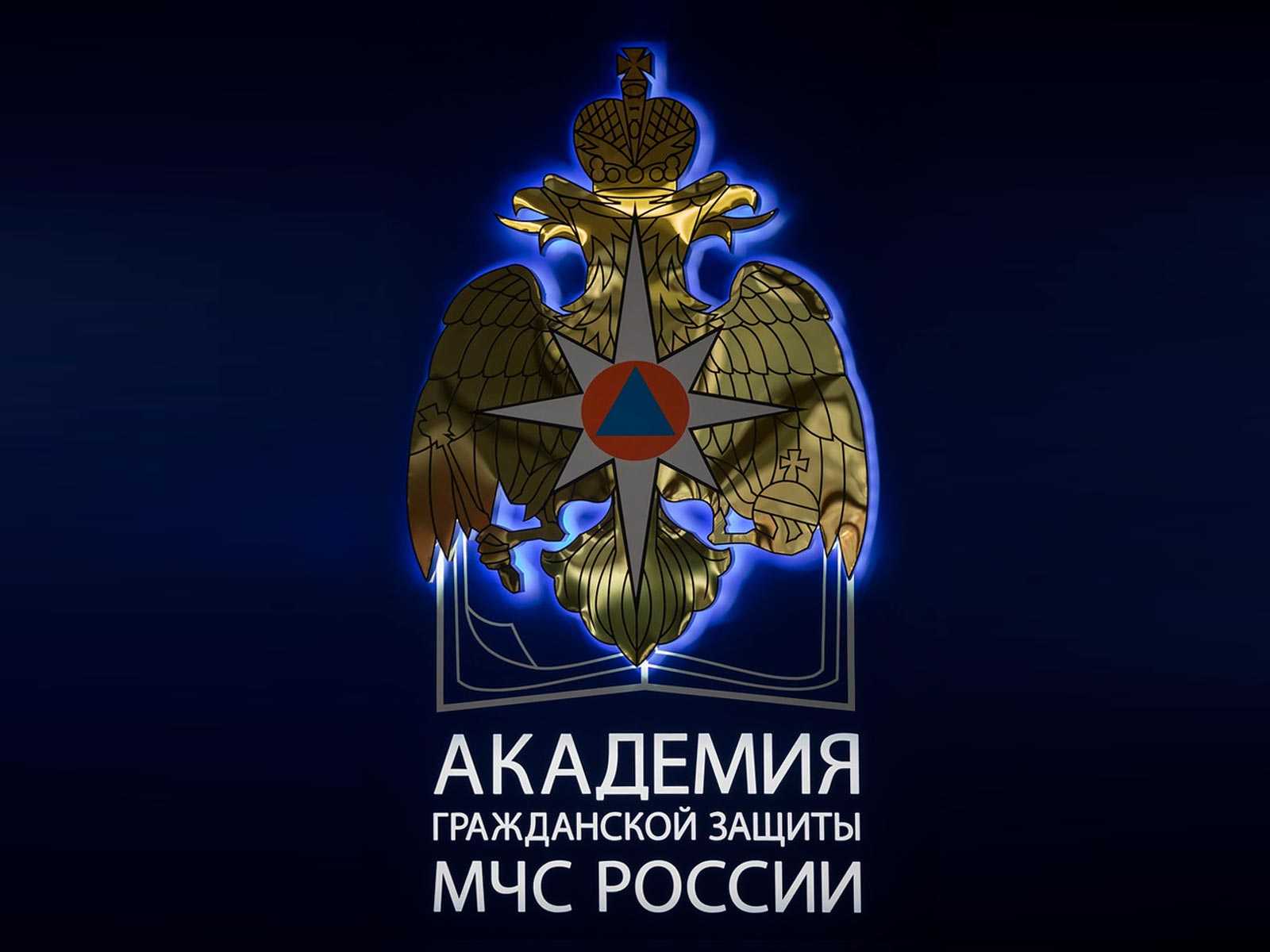 Реферат мчс - структура мчс россии