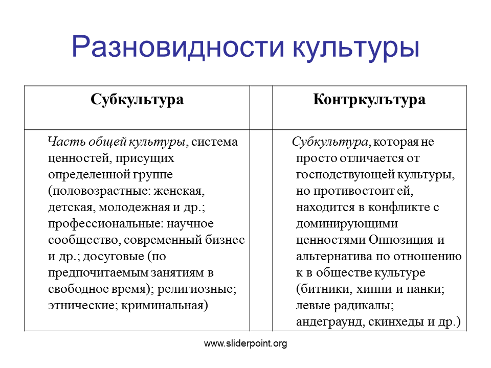 Субкультура и контркультура