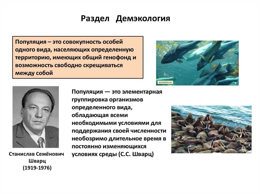 Презентация на тему: "начать экология популяций (демэкология) урок экологии экология популяций (демэкология)". скачать бесплатно и без регистрации.