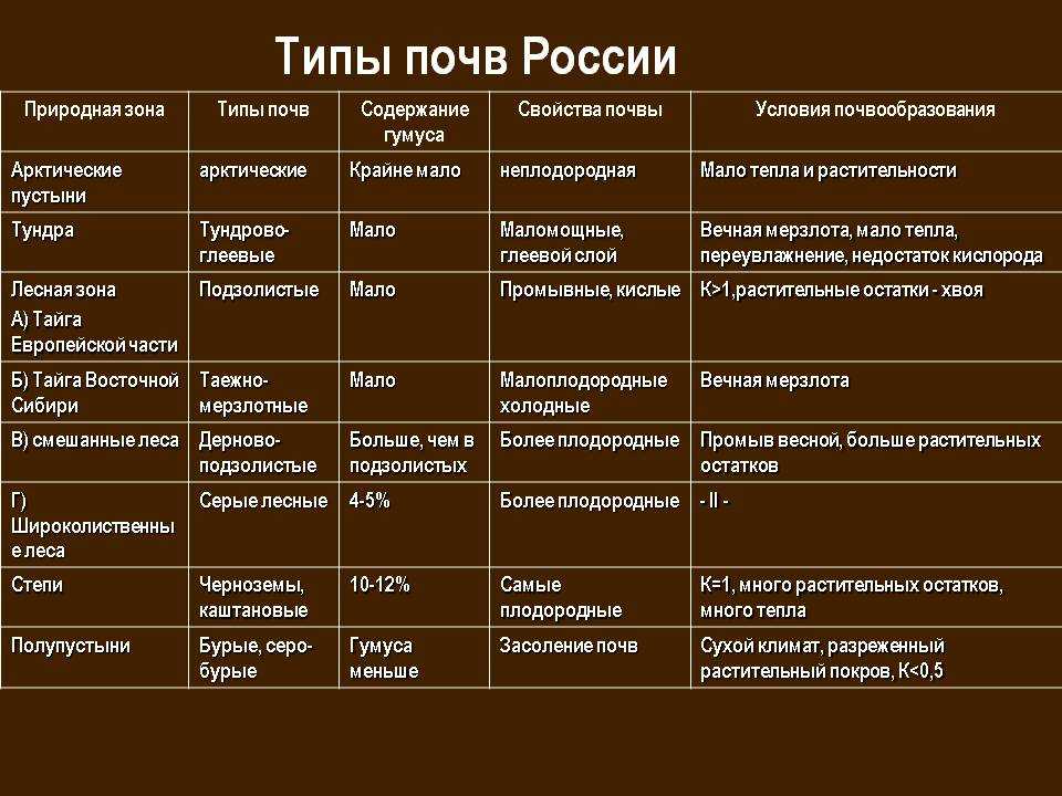 Озерно-аллювиальное отложение
 - большая энциклопедия нефти и газа, статья, страница 1