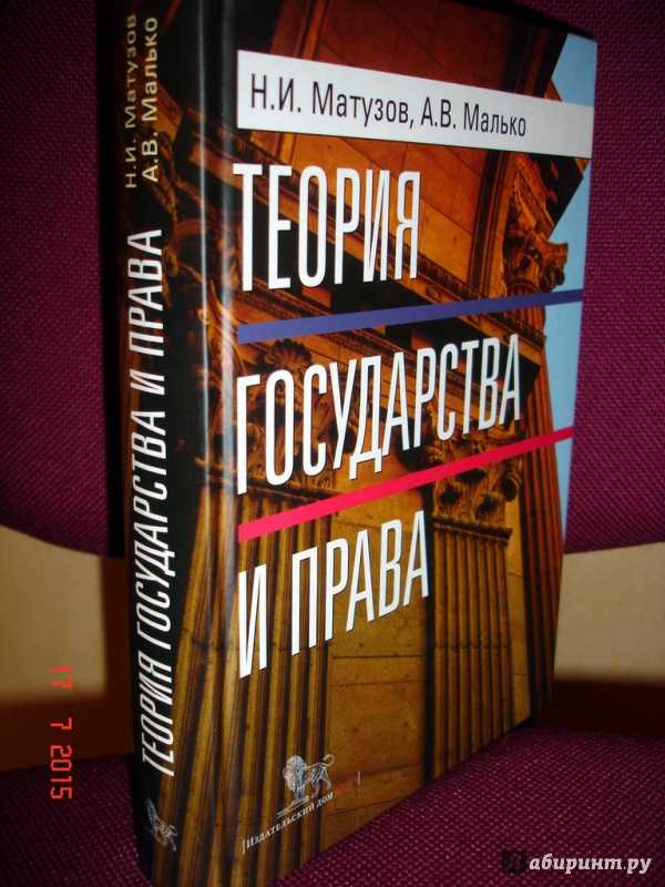 Юридический процесс. реферат. тгп. 2008-12-09