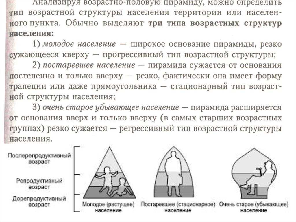 Возрастная и половая структура населения мира