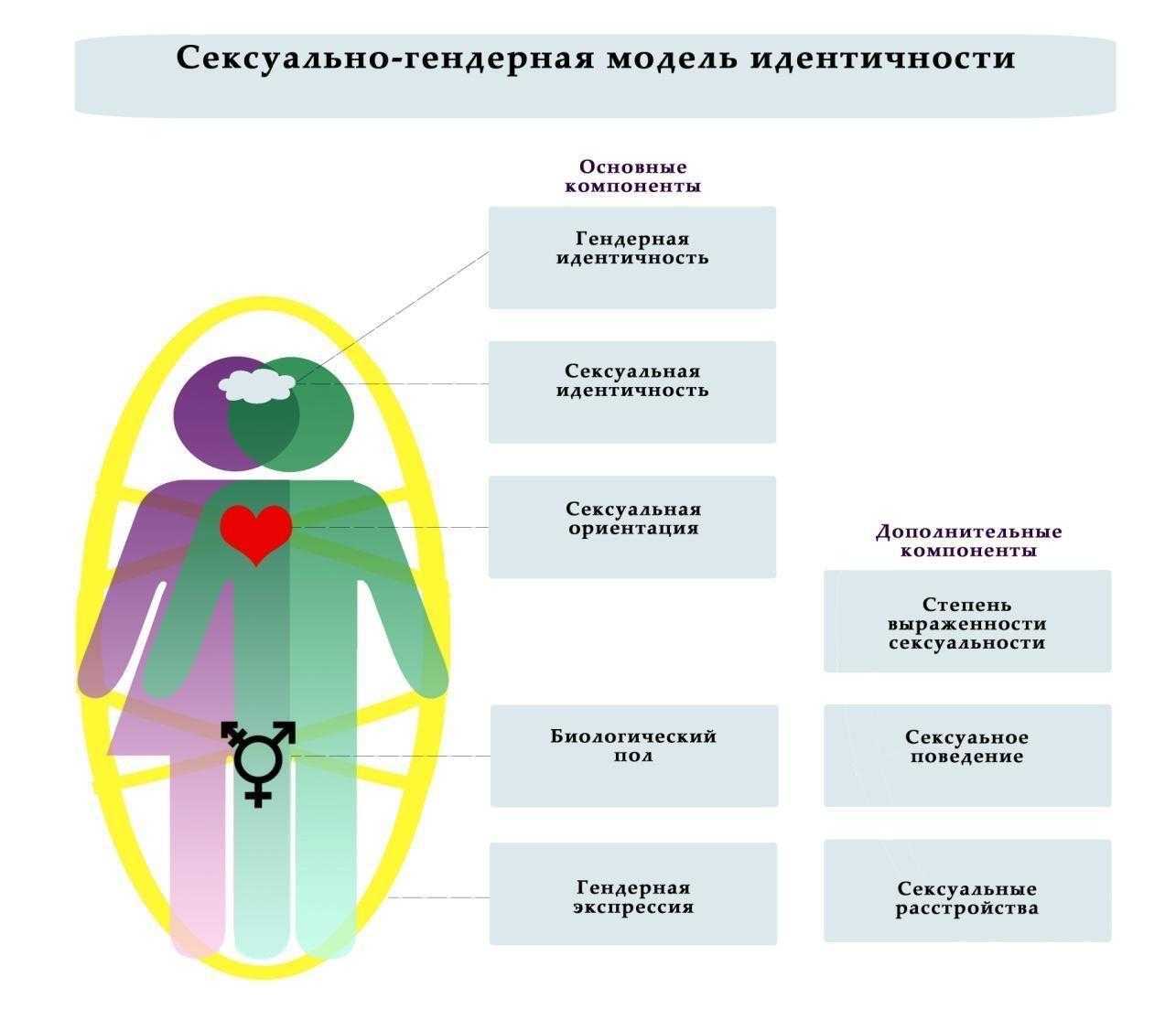 Как формируется сексуальная ориентация? - мамазонка
