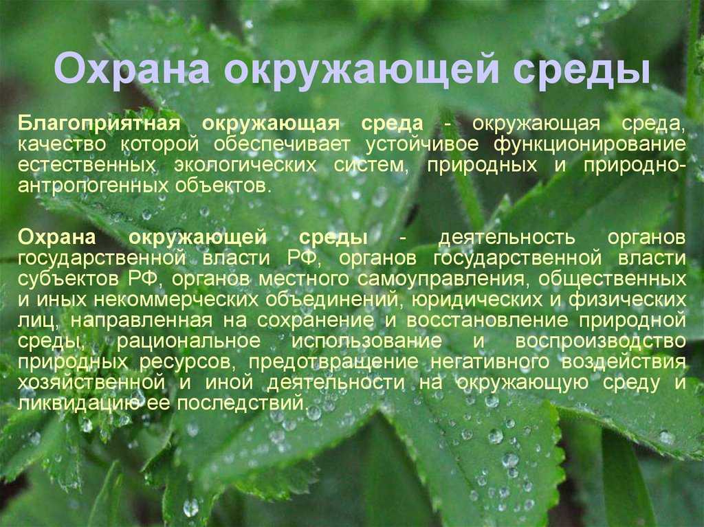Объекты охраны окружающей природной среды | экология природных ресурсов