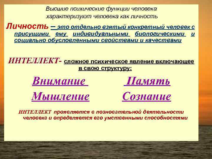Высшие психические функции человека