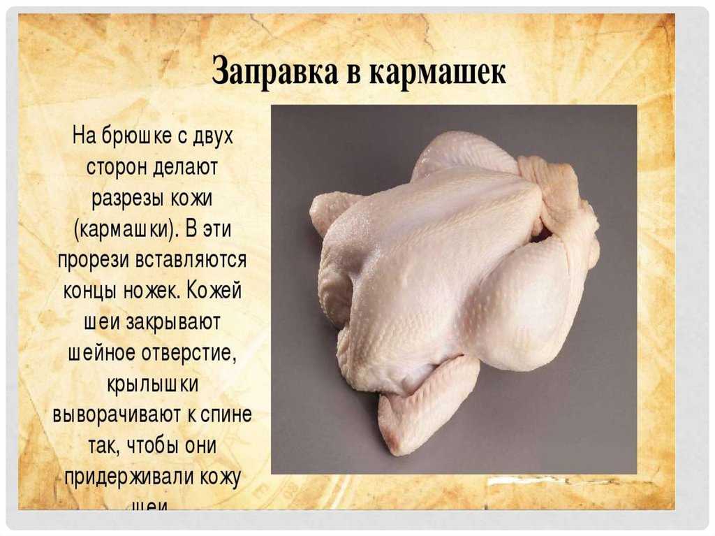 Первичная обработка домашней птицы и дичи