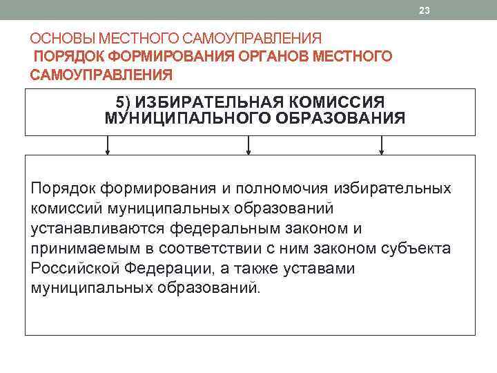 Местное самоуправление и контроль его в системе государственного управления