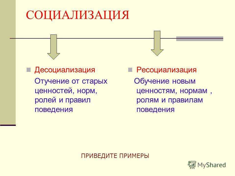 Что такое десоциализация: причины, механизм, ресоциализация