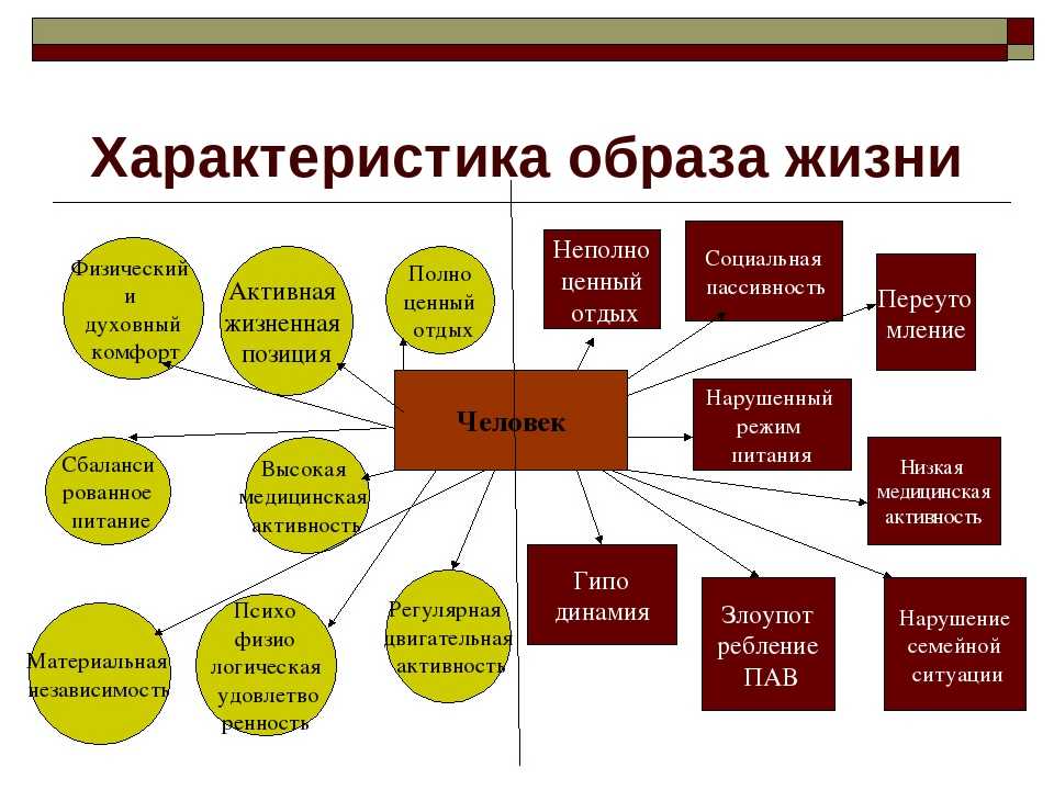 Какие бывают образы жизни у людей: чем определяется, примеры социального