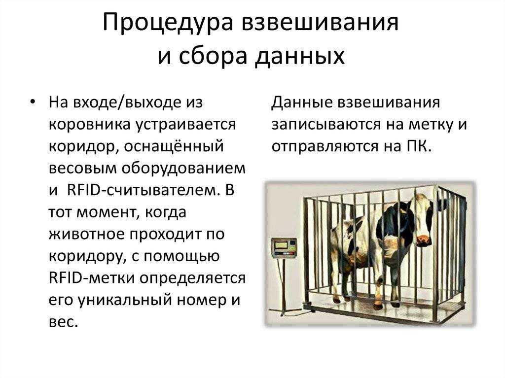 Грудное вскармливание - кормление грудью ребенка до года.