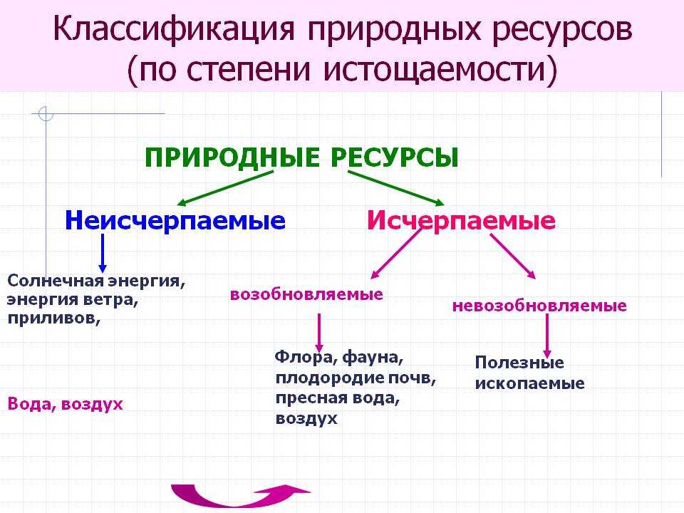 Возобновляемые ресурсы – примеры возобновимых природных ресурсов